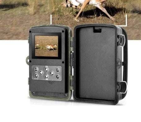 High Definition Outdoor Wildlife Hunting Camera For Game Surveillance