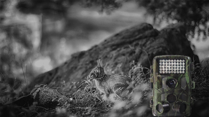 High Definition Outdoor Wildlife Hunting Camera For Game Surveillance