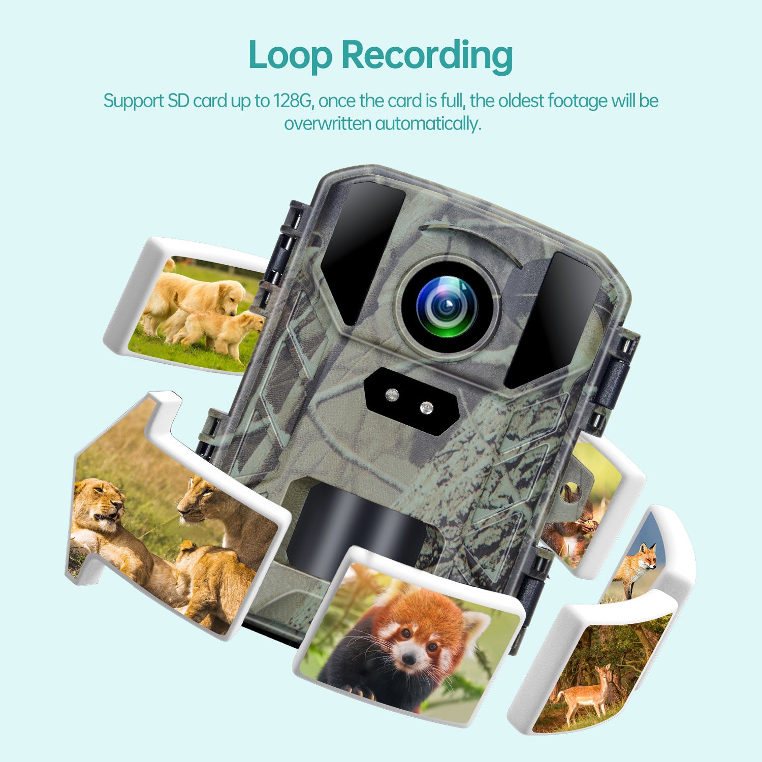 4K 50MP HD Outdoor Wild Hunting Camera Night Vision