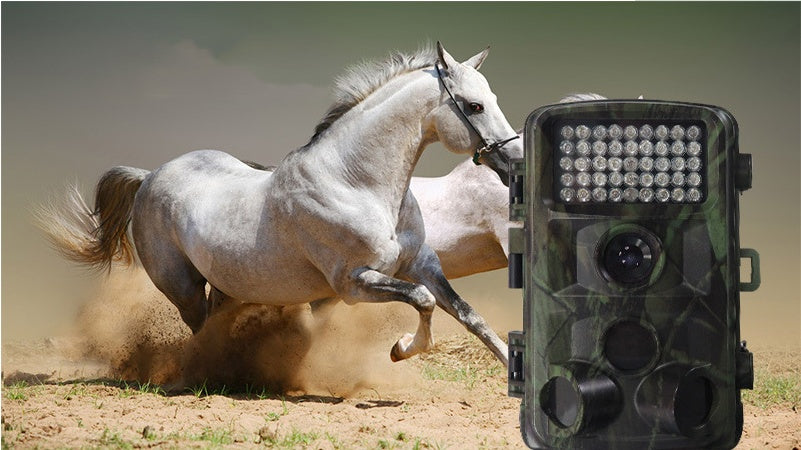 High Definition Outdoor Wildlife Hunting Camera For Game Surveillance